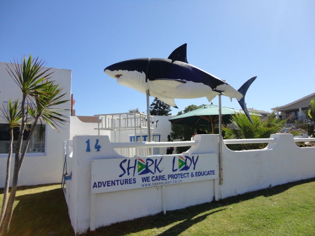 Shark Lady Adventures